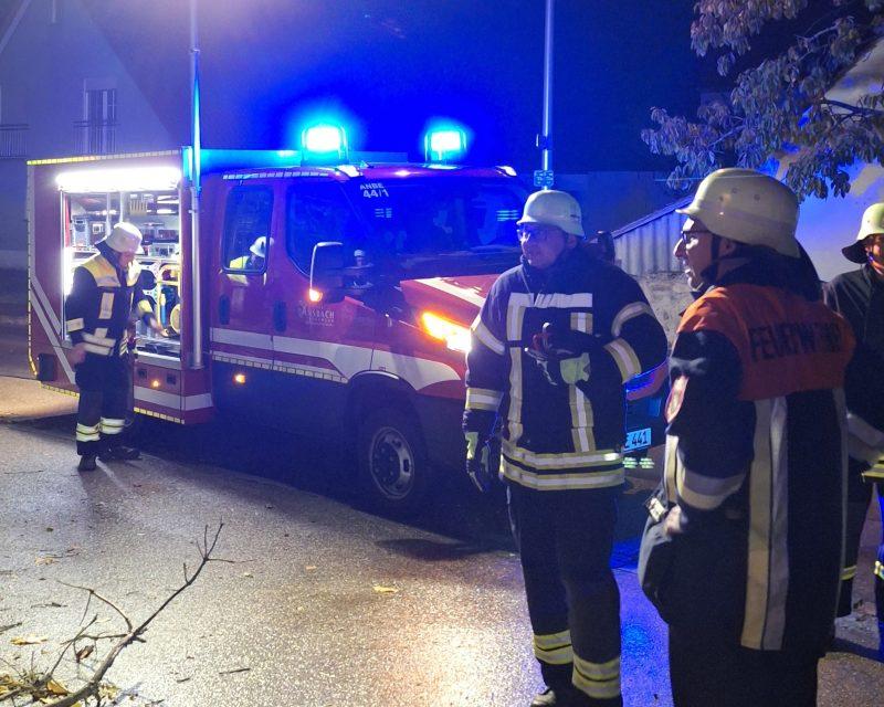 Du betrachtest gerade THL – Baum auf Fahrbahn